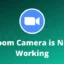 [Gelöst] Zoomkamera funktioniert unter Windows 11/10 nicht