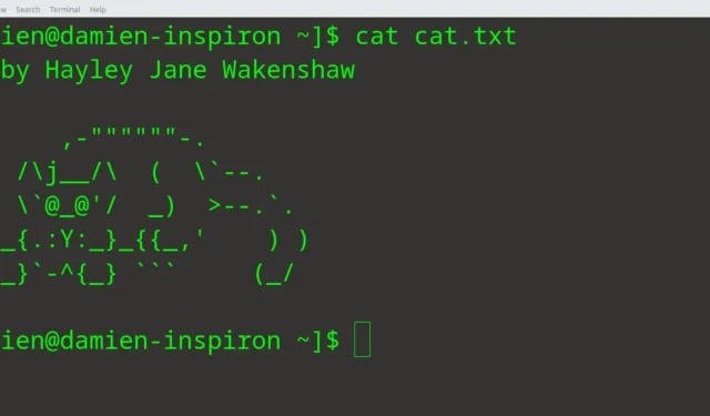 Wat is het CAT-commando in Linux en hoe het te gebruiken