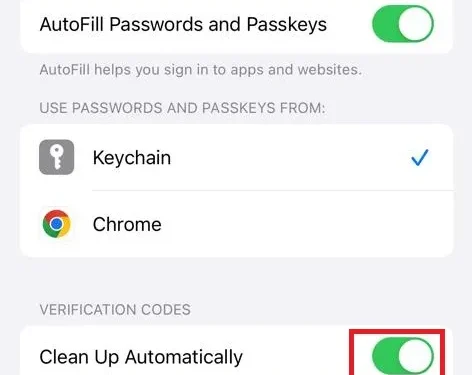 iPhoneでパスワードを自動的にクリーンアップする方法