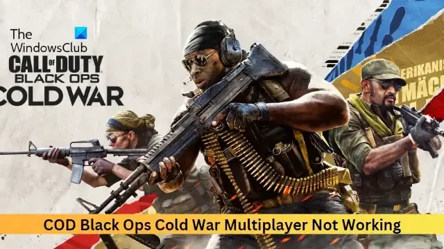 COD Black Ops Cold War Multiplayer werkt niet