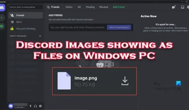 Windows PC で Discord 画像がファイルとして表示される