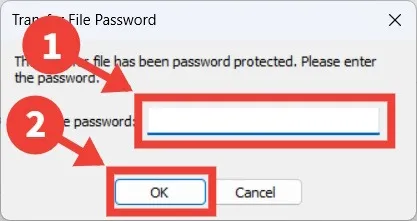 Il processo di inserimento di una password in Transwiz per Windows.