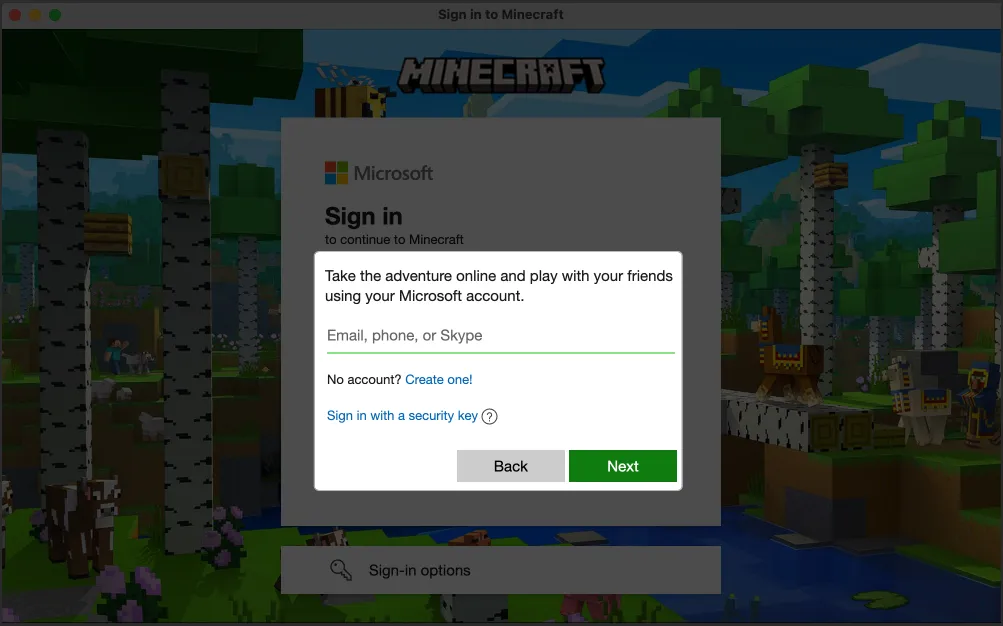 Inserisci l'indirizzo e-mail che hai utilizzato per acquistare la licenza di Minecraft