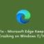 Oplossing – Microsoft Edge blijft crashen op Windows 11/10