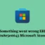 Consertar Algo deu errado ERRO 0x8e5e0643 Microsoft Store