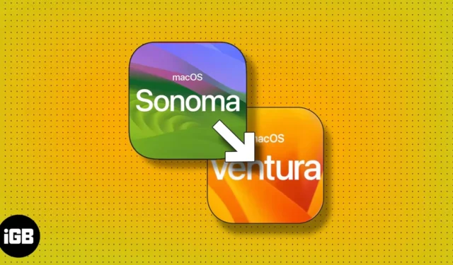 데이터 손실 없이 macOS Ventura로 다운그레이드하는 방법 