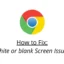 如何修復 Google Chrome 中的白屏或空白屏幕問題