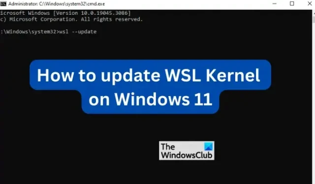 如何在 Windows 11 上更新 WSL 內核