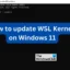 Windows 11 で WSL カーネルを更新する方法