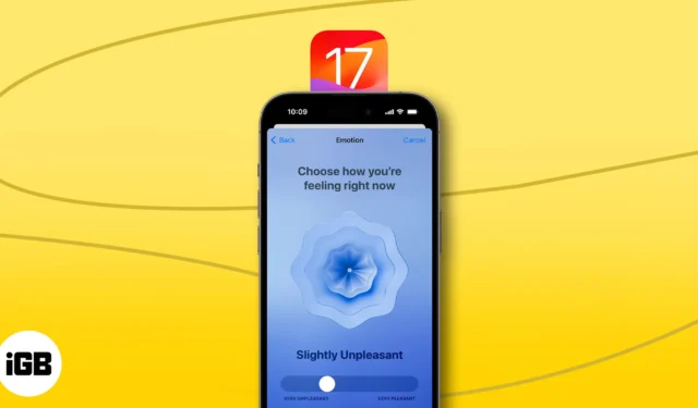 Como usar o aplicativo Mental Wellbeing in Health no iOS 17