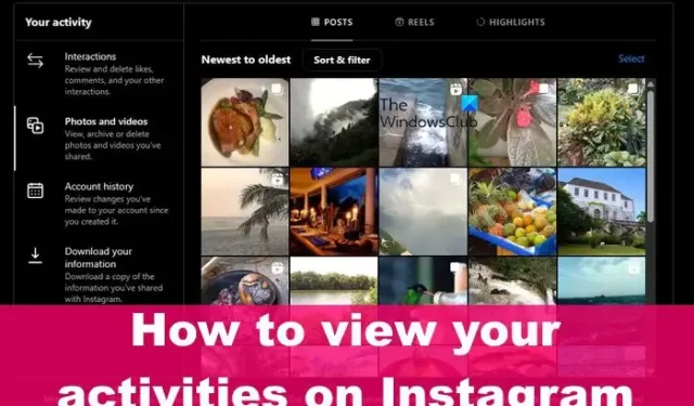 Comment voir votre activité sur Instagram