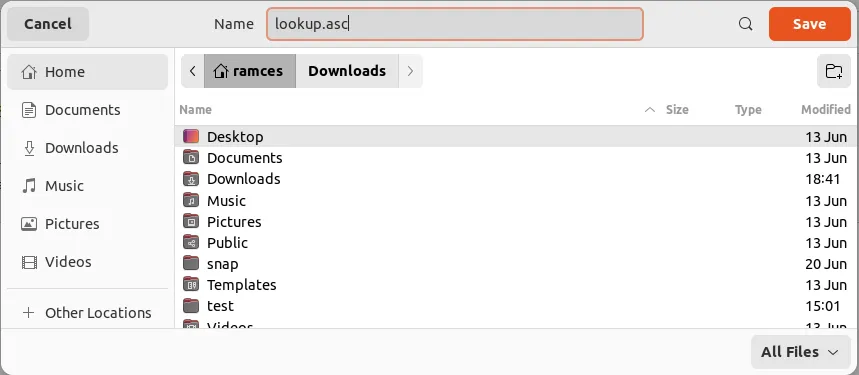 Uma captura de tela mostrando o programa seletor de arquivos para o site do servidor de chaves do Ubuntu.