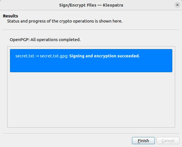 Uma captura de tela mostrando uma janela de confirmação do processo de criptografia de arquivo.