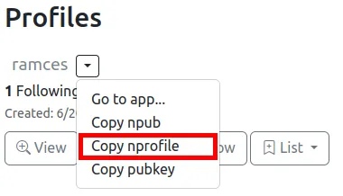 Ein Screenshot, der den Link „Nprofile kopieren“ für den Benutzer „ramces“ zeigt.