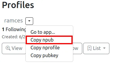 「Copy npub」リンクが強調表示されている Nostr.Band プロファイル エントリのスクリーンショット。