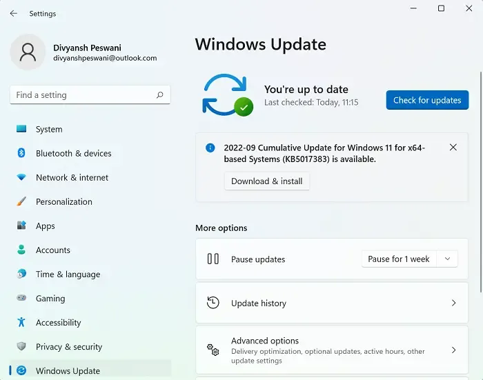 Update für Windows 11 installieren