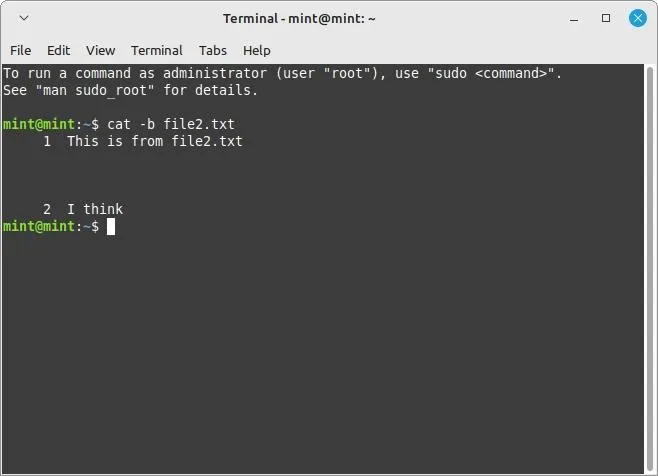 Linux Terminal Cat-Befehlsflags B Flag 2