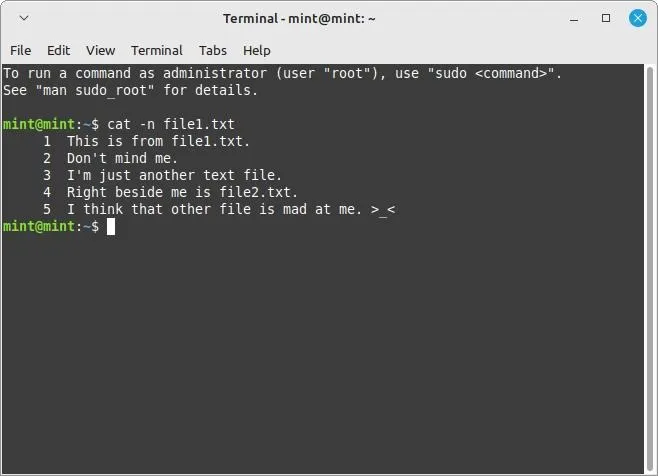 Linux-Terminal-Cat-Befehlsflags N-Flagge