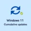 Mise à jour de sécurité Windows 11 KB5027223 de juin 2023