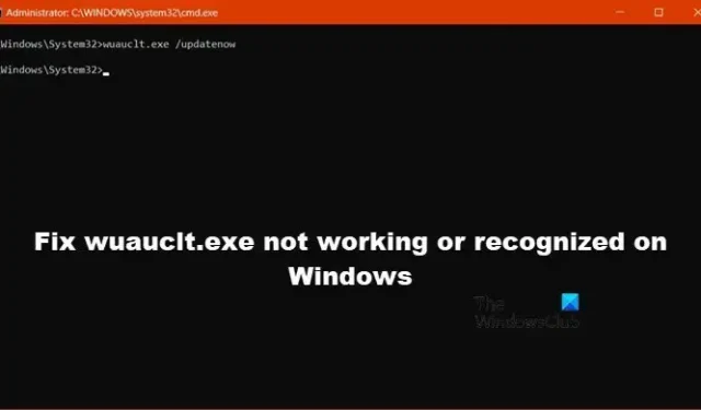 Corrigir wuauclt.exe não funcionando ou reconhecido no Windows 11/10