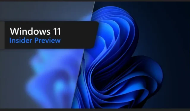 Microsoft afferma che questa settimana non verranno rilasciate nuove build di Windows 11 Insider
