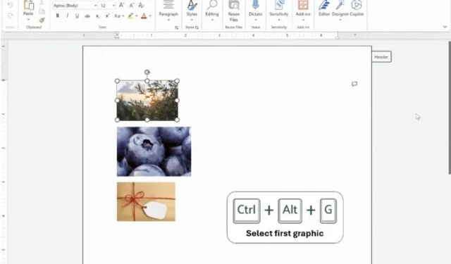 Microsoft heeft nieuwe sneltoetsen toegevoegd in Word op het web voor het selecteren van afbeeldingen