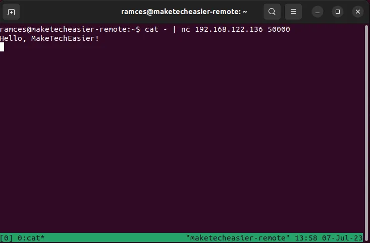 Ein Terminal, das die Standardeingabeaufforderung für einen einfachen Netcat-Chat anzeigt.