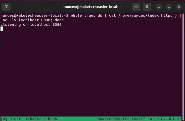 Ein Terminal, das einen einfachen laufenden Netcat-Webserver zeigt.