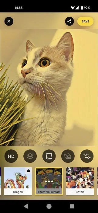 Application Prisma pour Android montrant une photo modifiée.
