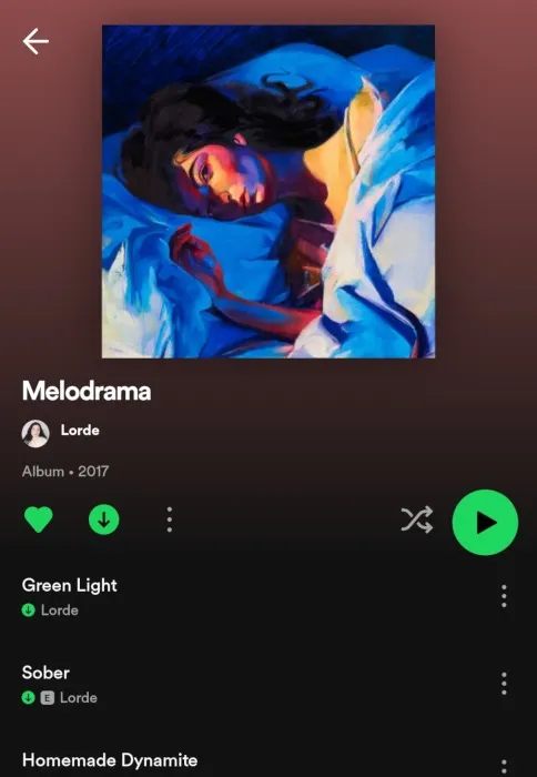 Android-Spotify gedownload