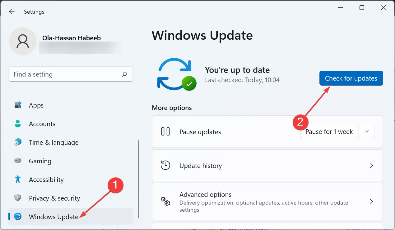 vérifier les mises à jour du débordement de la barre des tâches de Windows 11 ne fonctionne pas