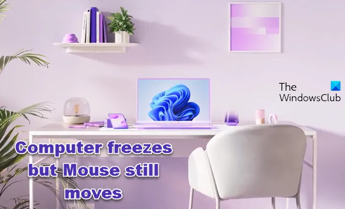 Der Computer friert ein, aber die Maus bewegt sich noch