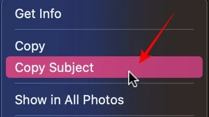 Copiar botão de recurso de assunto do aplicativo Fotos no Mac