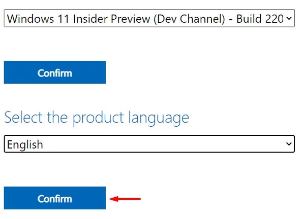 Windows 11 ISO ファイルのダウンロード - 言語の選択