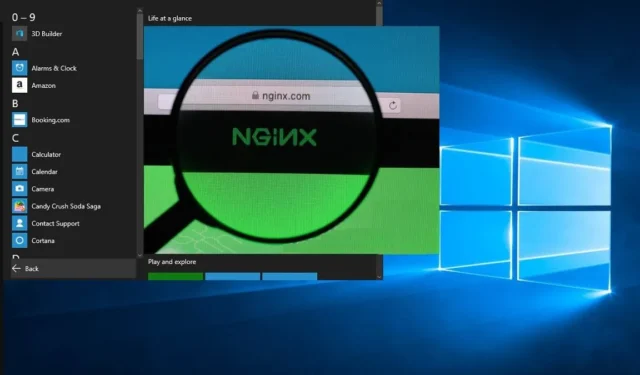 Windows에서 Nginx 서버를 설치하고 실행하는 방법