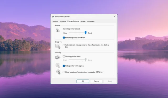 Comment vérifier le DPI de la souris dans Windows 10 [Étapes faciles]