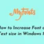 如何在 Windows 11 中增加字體或文本大小