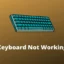 [Gelöst] Tastatur funktioniert unter Windows 11/10 nicht