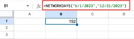 NETWORKDAYS-functie met datums
