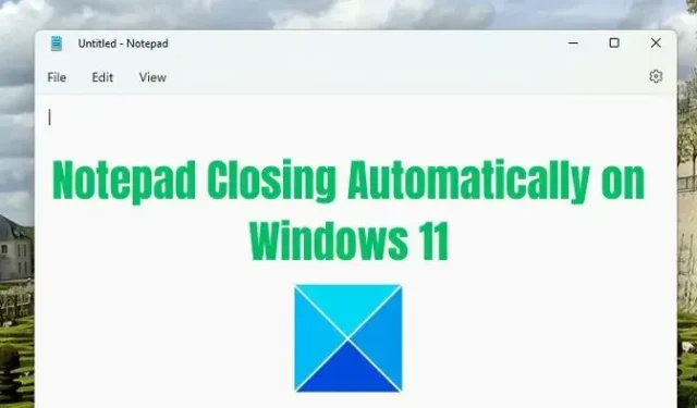Blocco note continua a chiudersi automaticamente su Windows 11