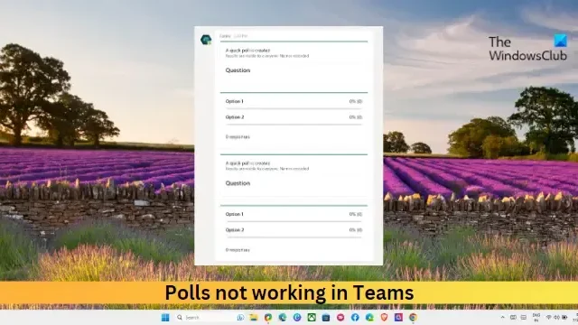I sondaggi non funzionano in Teams [Correzione]
