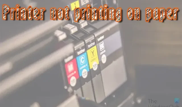 Drucker druckt nichts auf Papier [Fix]