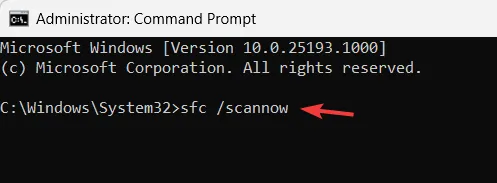 execute o comando sfc /scannow