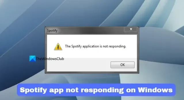 Die Spotify-Anwendung reagiert unter Windows 11 nicht