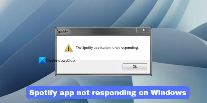 Spotify-app reageert niet op Windows
