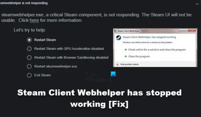 Steam クライアント Webhelper が動作を停止しました [修正]