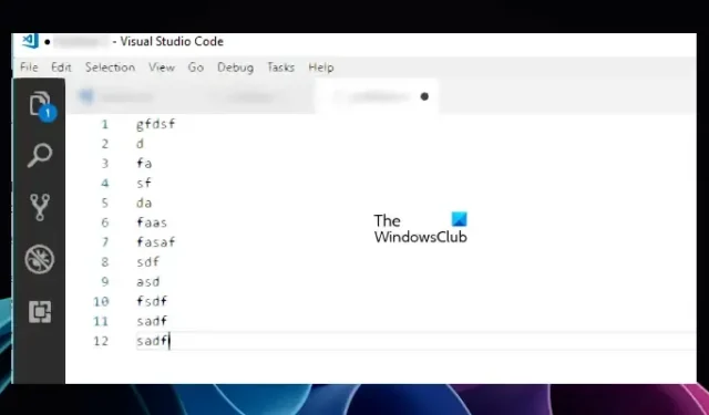Windows 11 上的 Visual Studio Code 文本模糊