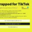 Como usar a ferramenta TikTok Wrapped 2023