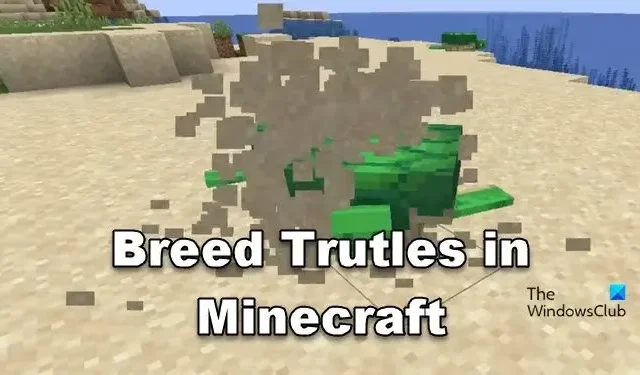 Hoe schildpadden te fokken in Minecraft?