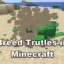 ¿Cómo criar tortugas en Minecraft?